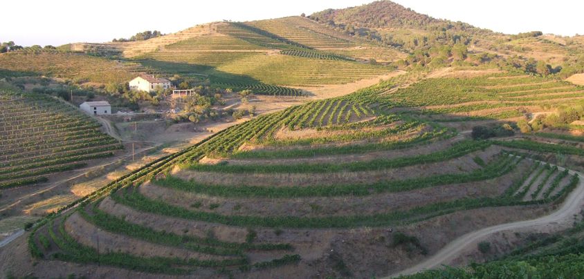 Gran Clos del Priorat (vormals Celler Fuentes), Priorat DOQ