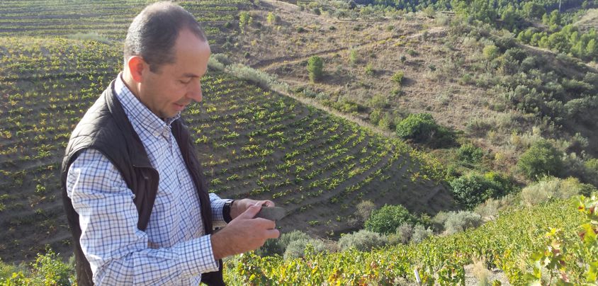 Gran Clos del Priorat (vormals Celler Fuentes), Priorat DOQ