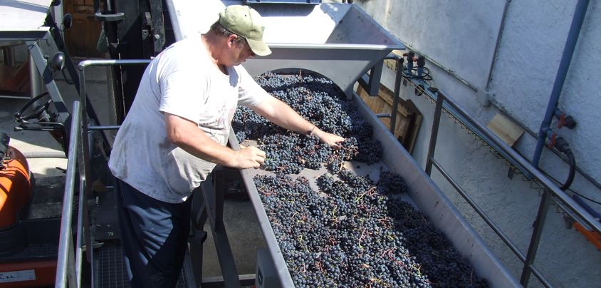 Gran Clos del Priorat (vormals Celler Fuentes), Priorat DOQ