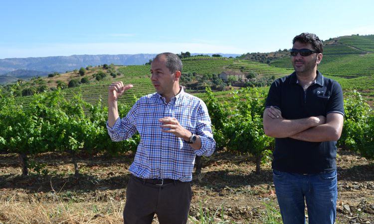 Gran Clos del Priorat (vormals Celler Fuentes), Priorat DOQ